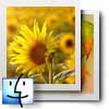 Data Doctor Recovery Digital Picture for Mac